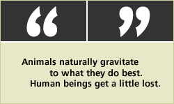 QUOTE: Animals naturally gravitate to what they do best. Human beings get a little lost.