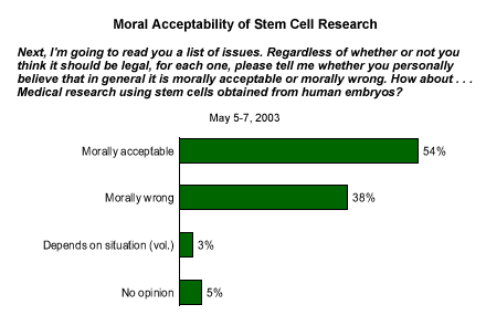Term paper on stem cell debate