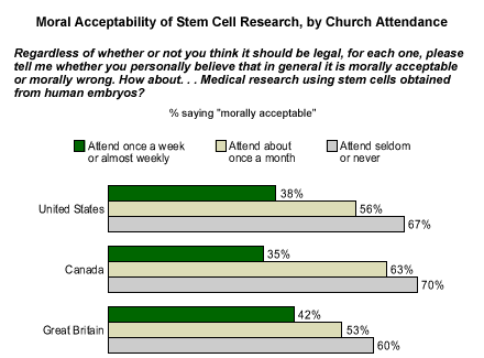 Term paper on stem cell debate