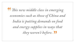 QUOTE: This new middle class in emerging economies such as those of China and India is putting demands on food and energy supplies in ways that they weren't before.