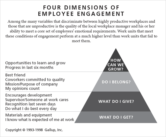 Four Dimensions of Employee Engagement