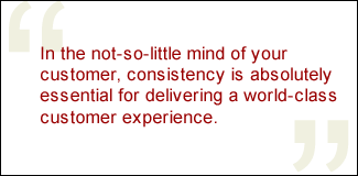 QUOTE: In the not-so-little mind of your customer, consistency is absolutely essential for delivering a world-class customer experience.