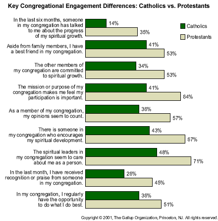 Baby Steps Toward Healing The Catholic Church