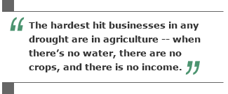 The hardest hit businesses in any drought are in agriculture -- when there's no water, there are no crops, and there is no income.