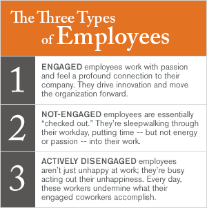 The Three Tyupes of Employees
